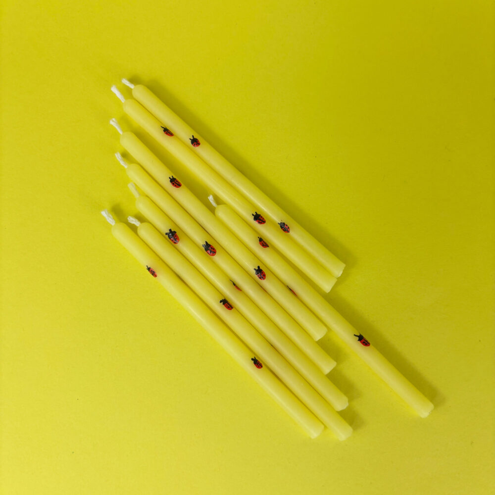 Trick No. 53 -  Boružėlės